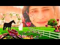 Sanam Sangdil Sanam Rimex