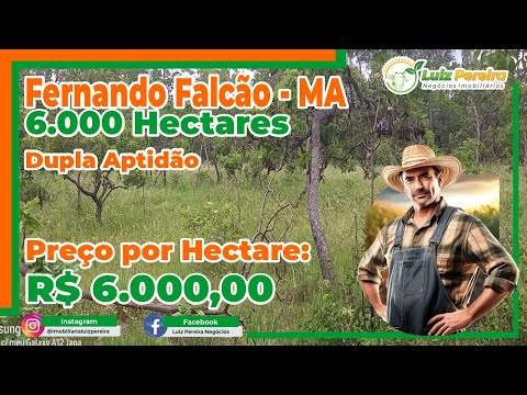 Fazenda em Fernando Falcão MA  6 000 Hec , D aptidão, espetacular para agricultura,reserva legal 35%