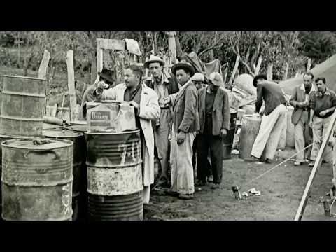 El `49 TRAILER OFICIAL