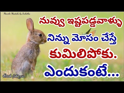 Jeevitha satyalu|| Best Motivational quotes|| Life quotations|| Manchi Maatalu by Srilatha||