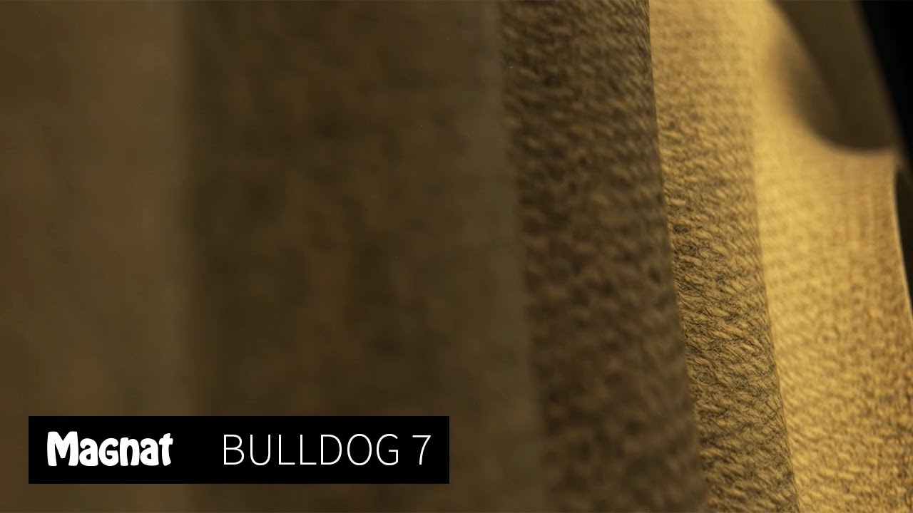 Magnat Haut-parleur Bluetooth Bulldog 7 Noir