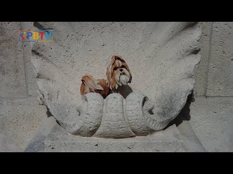 Palm Beach TV: October 19, 2023