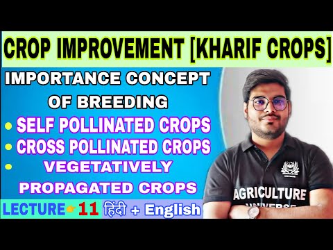 crop improvement kharif bsc ag 5th semester syllabus analysis