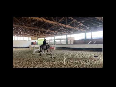 Quick Baloua: QUICKBORN 7 x BALOU DU ROUET