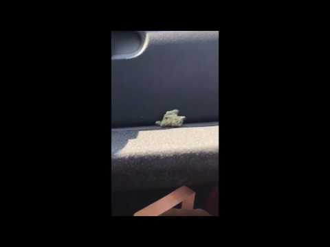 Tony effe va da McDonalds e da gucci