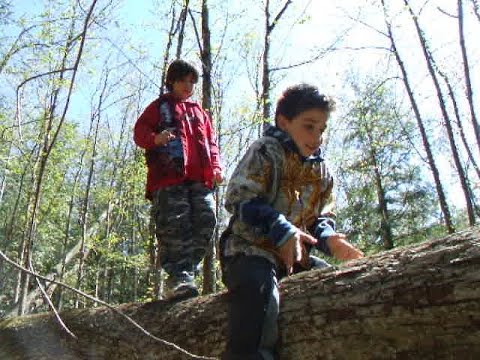 070512 - Returning to the Conservation Area for Another Year 8