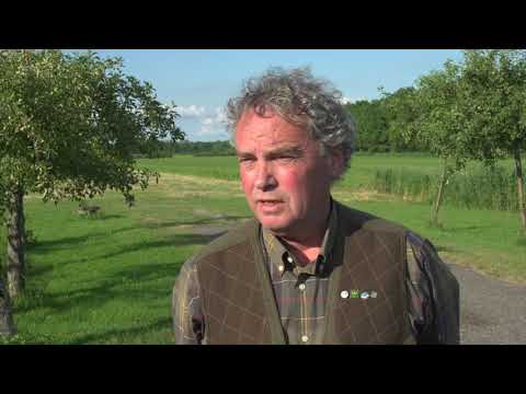 JagersTV - Standaard Jachthondenproef