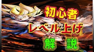 【ドラゴンボールレジェンズ：攻略】レベル上げ初心者に必要な情報徹底解説！【ドッカンバトルを超える!?】
