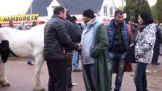 preview picture of video 'Paardenmarkt Hedel 2014'
