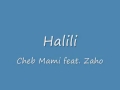 Cheb Mami - Halili (with lyrics) - HD 