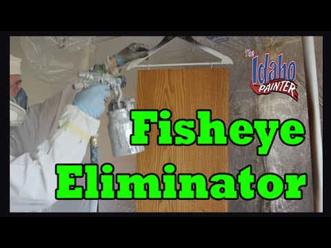 download lagu mp3 mp4 Latex Paint In Eye, download lagu Latex Paint In Eye gratis, unduh video klip Latex Paint In Eye