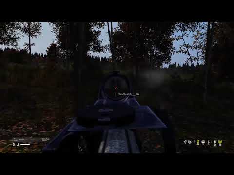 DayZ defending the brotherhood