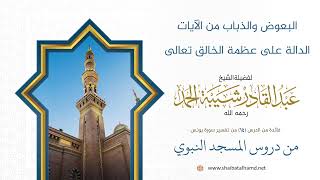 صورة البعوض والذباب من الآيات الدالة على عظمة الخالق تعالى | الشيخ عبد القادر شيبة الحمد رحمه الله