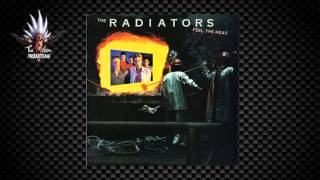 The Radiators - Fess Song