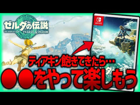【ティアキン】ティアキンついに飽きてきたら...●●をやって楽しもう!!【ティアーズオブザキングダム】