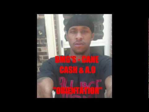 BMG - CANE CASH & A.O - ORIENTATION
