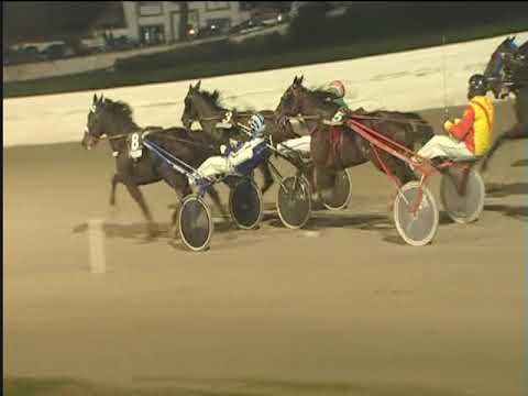 Trotto 08/01/2019 - 5ª corsa