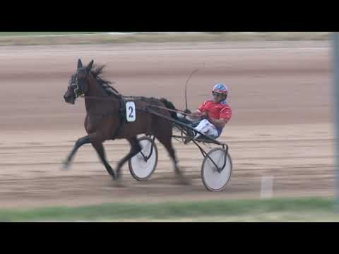 Lósport, galopp, ügető: Az elmúlt hétvége izgalmas futásai