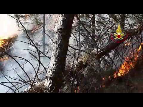 Presenaio incendio boschivo del 13 febbraio 2020