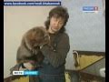 Вести-Хабаровск. Русские животные в цирке 
