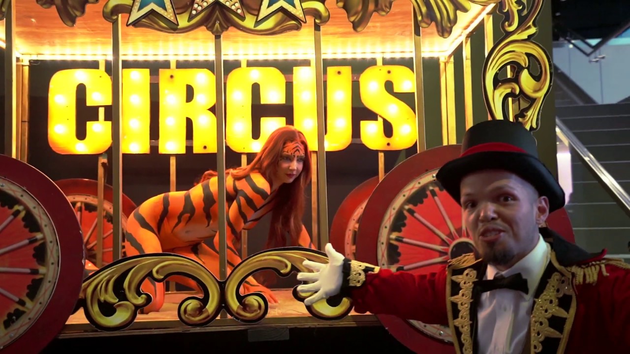 Promotional video thumbnail 2 for Angel City Tarot