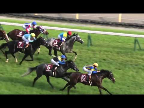 2019 第133回  目黒記念GⅡ ウィニングラン 現地映像 ルックトゥワイス