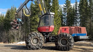 آلة قطع الأشجار Valmet 911.1 | صورة 4 - Agroline