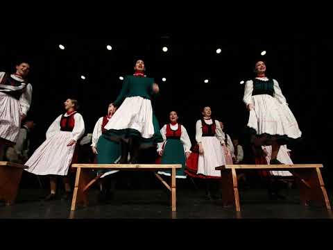 Videó előnézet