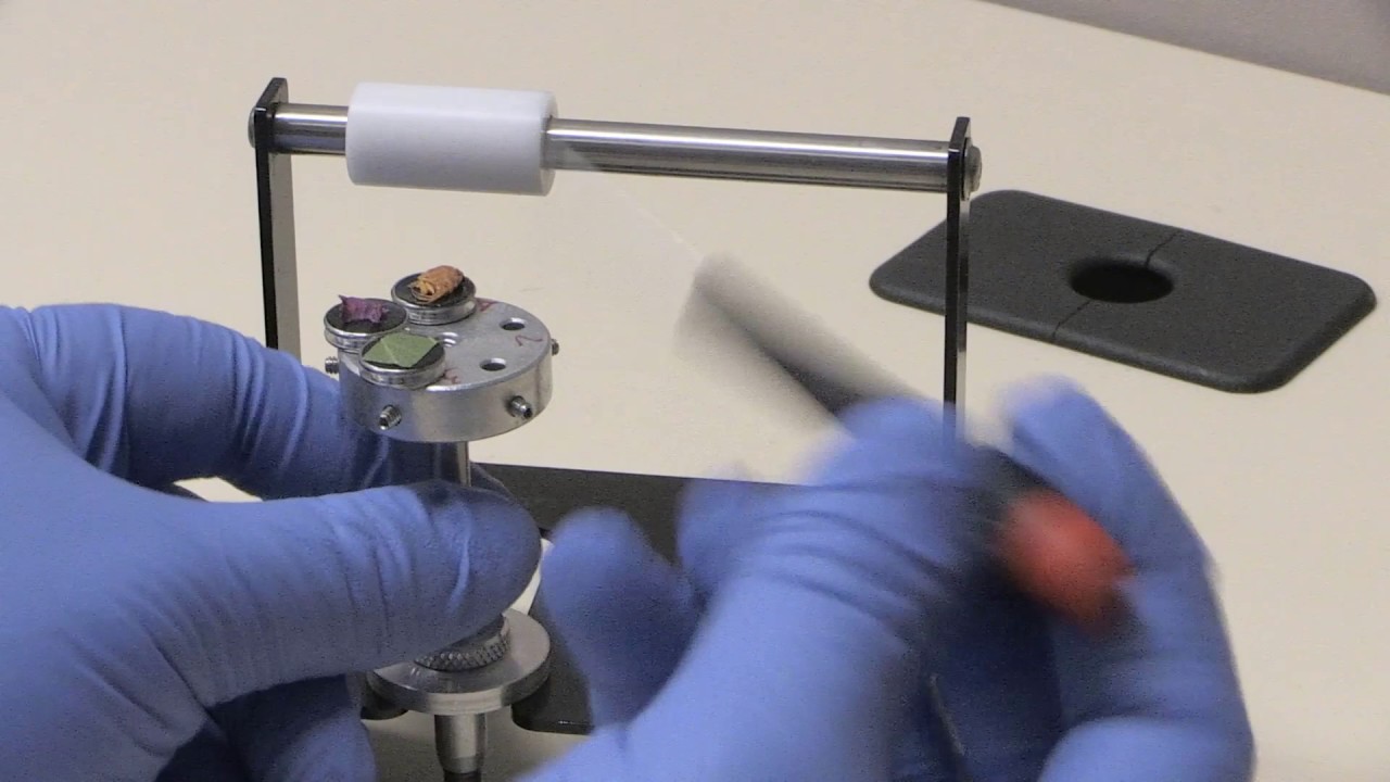 Preparing a Sample for Electron Microscopy