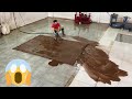 60 Year Old Persian Carpet That Hasn T Been Washed For More Than Half A Century