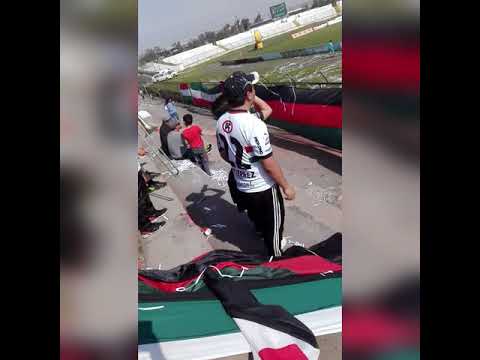"PALESTINO VS TEMUCO 2018/LOS BAISANOS" Barra: Los Baisanos &bull; Club: Club Deportivo Palestino