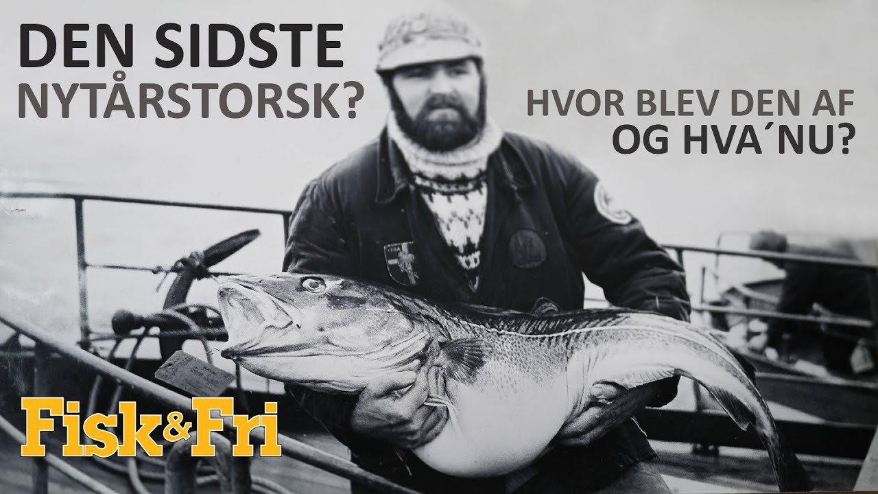 NY VIDEO: DEN SIDSTE NYTÅRSTORSK? HVOR BLEV DEN AF – OG HVA´ NU?