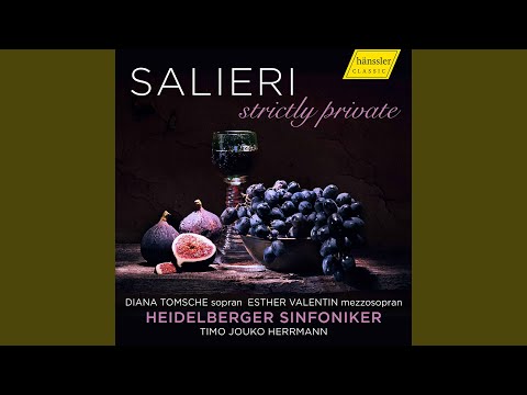 Andante devoto in D Minor