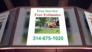 preview picture of video '(314) 675-1020 Free Estimates Tree Service Cedar Hill MO 63016'