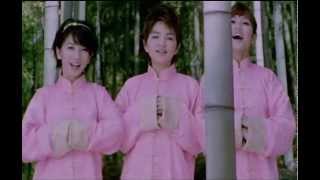 中国话 Zhong Guo Hua (Tieng Trung Hoa) S.H.E