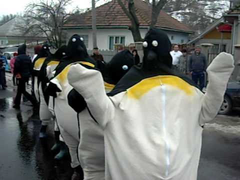 PINGUINII ......................... Bye Flavia, Vio si  Mona ..... Caraclau, Barsanesti