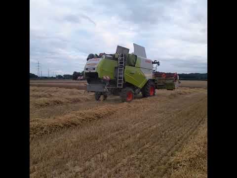 Tarwe 2021 met loonwerker Desmeth