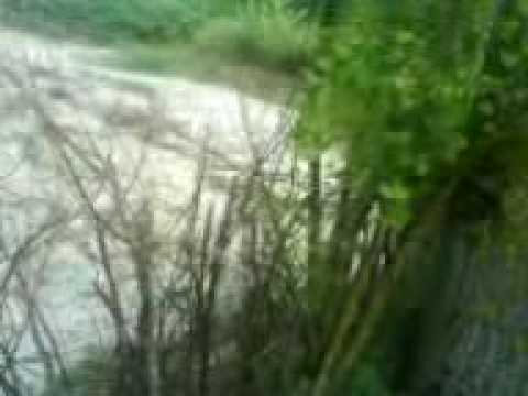 garla mare sarulesti