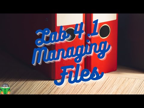 Lab 4 | Managing files and directories Part 1