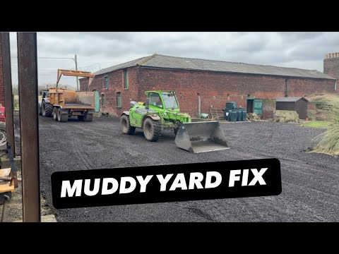  MUDDY YARD FIX #AnswerAsAPercent 2161