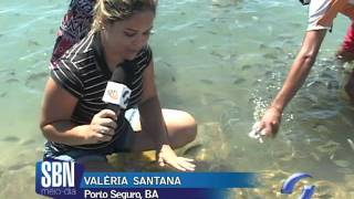 NO ROTEIRO - RECIFE DE FORA - 12.08.2011.avi