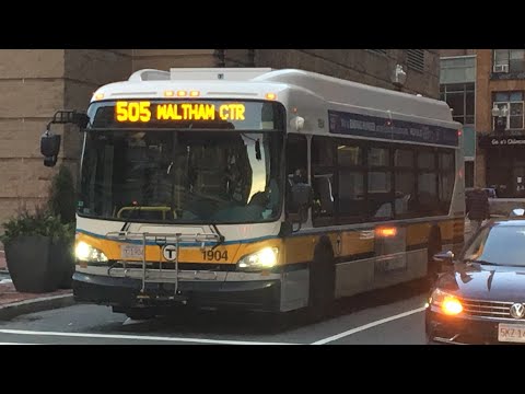 Oh Brother, Is This The Parody Version? | Yoshi's Ride Series {S8-E08} - Riding the 505 🚌 - {MBTA}