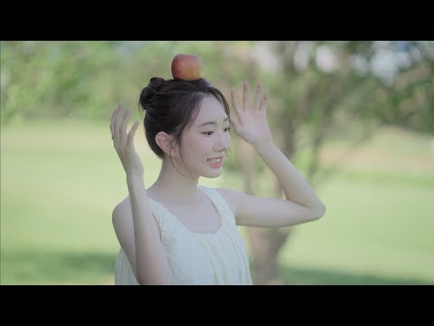 비디오 8