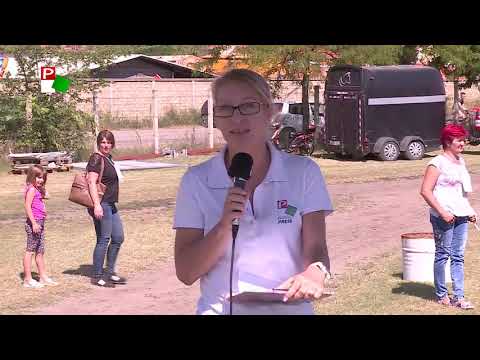 Vajdasági Futam döntő 2020