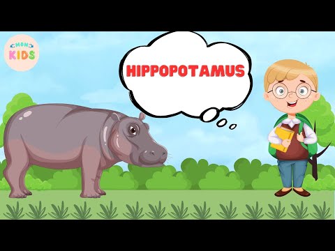 Hippopotamus Facts For Kids 🤠 Learn All About Hippos | MON Kids