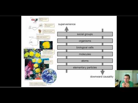 Systems Biology & Emergent Properties (Advanced)