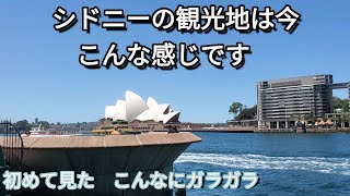 [休日vlog] 中心街まで行って、ランチと街ブラ。人がいなくてびっくりなんですけど!