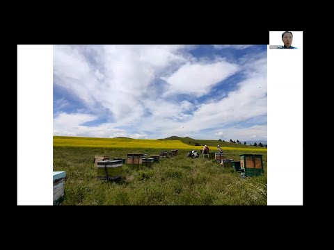 商学科 モンゴル養蜂のいま－この10年と今後の展望－