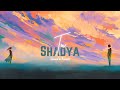 Tu Shadya (slowed + reverb) - Harvi