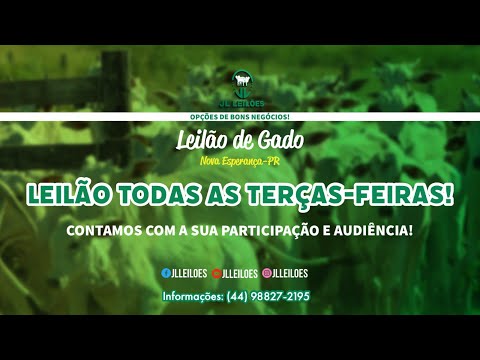 JL Leilões - Leilão de Gado - 05/03 - Nova Esperança-PR